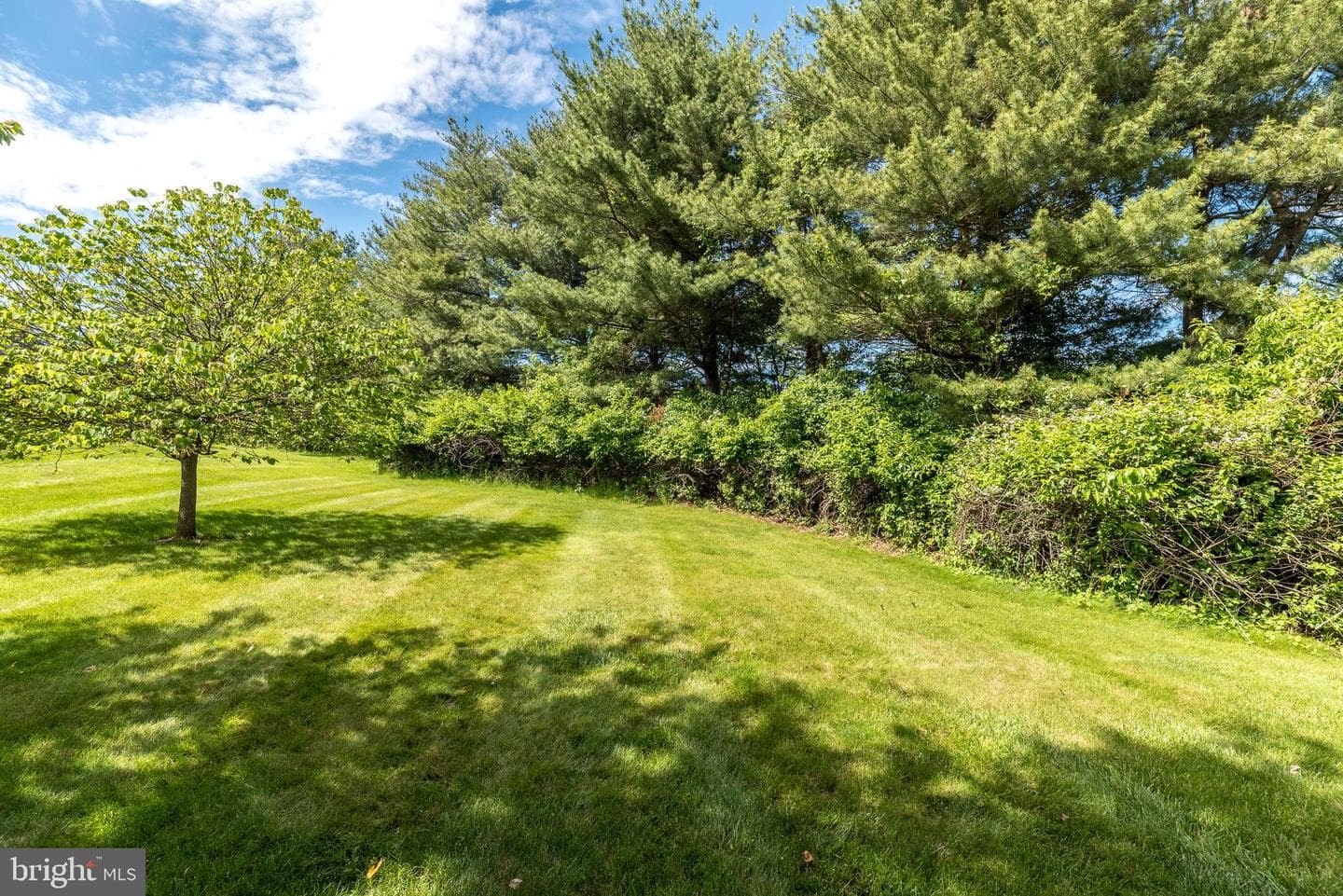 303 Stratford Court photo 42