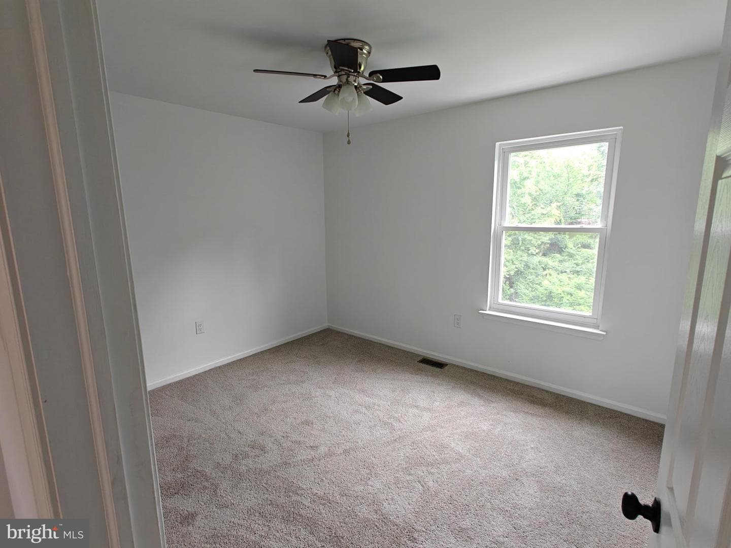 124 Horseshoe Lane photo 19