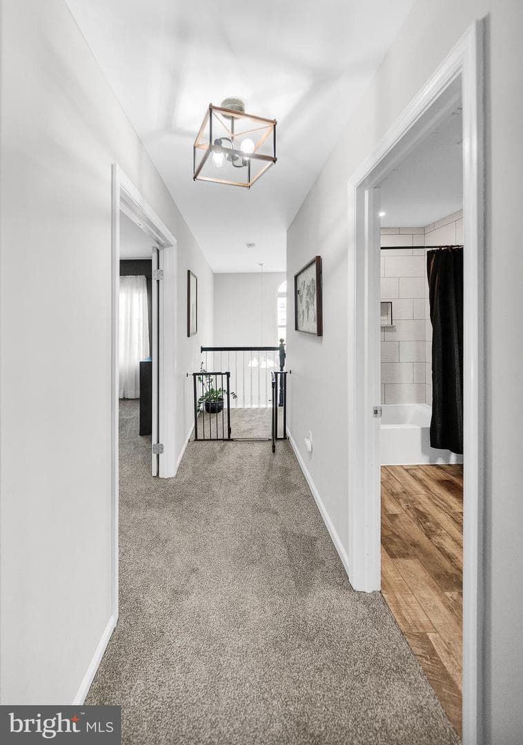 351 Cherry Street photo 53