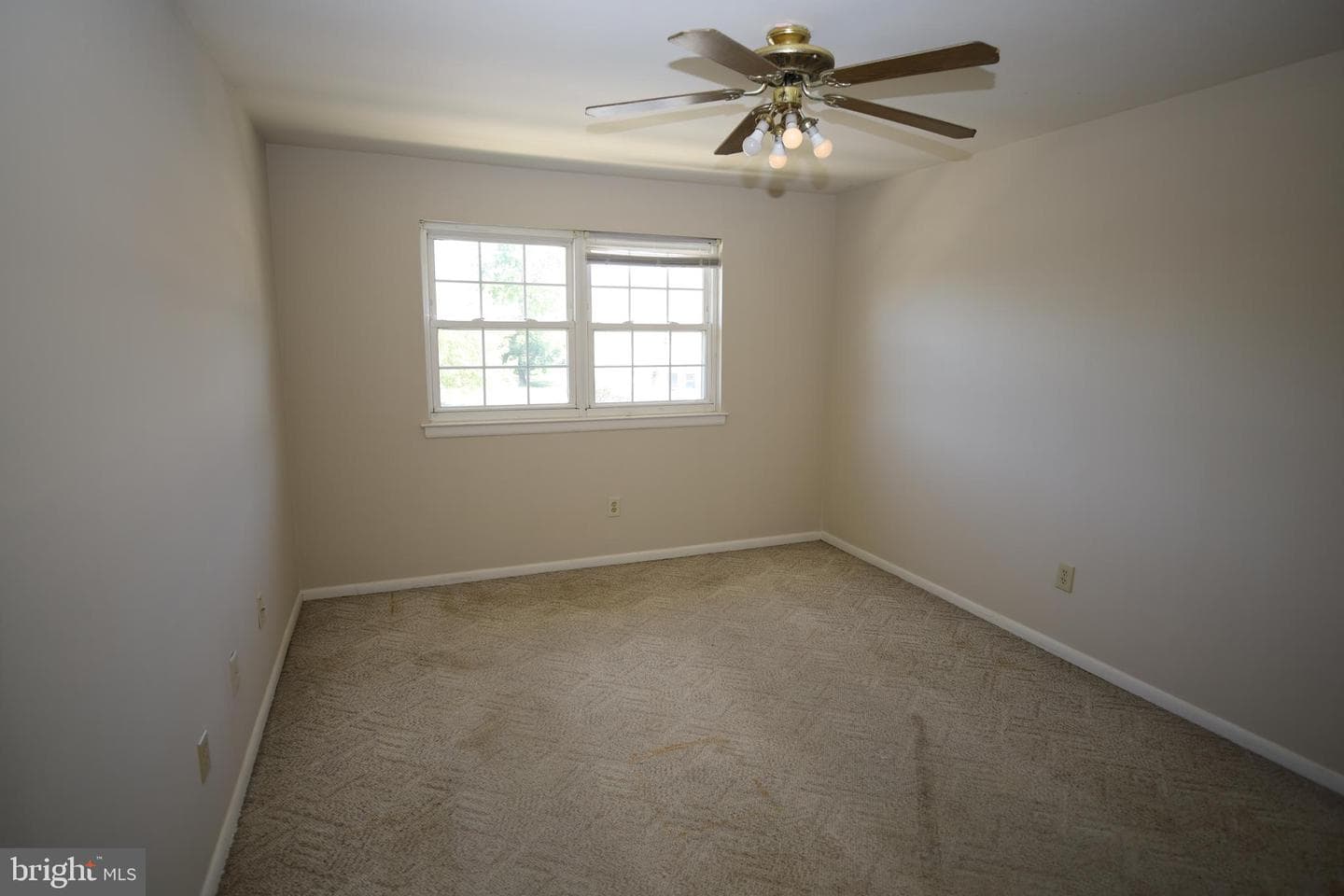 84 Wexford Drive photo 6