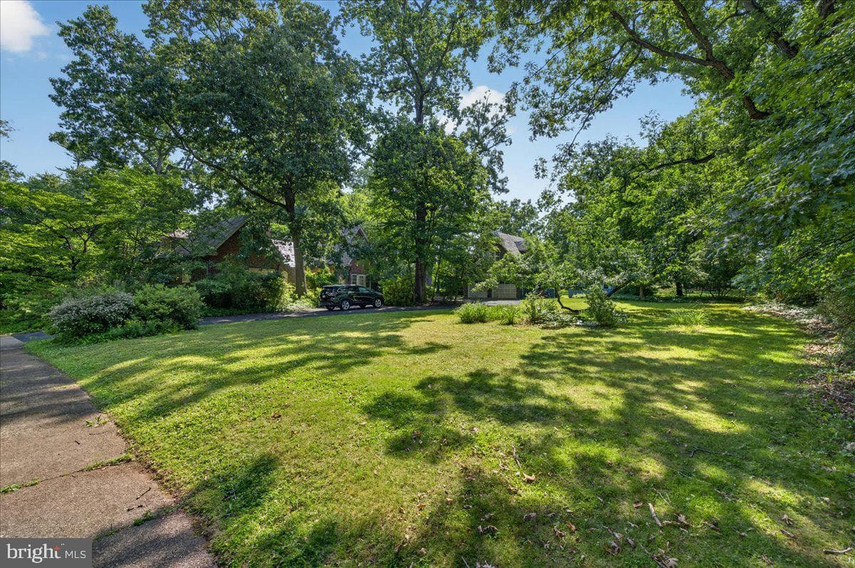 17 Woodland Drive photo 40