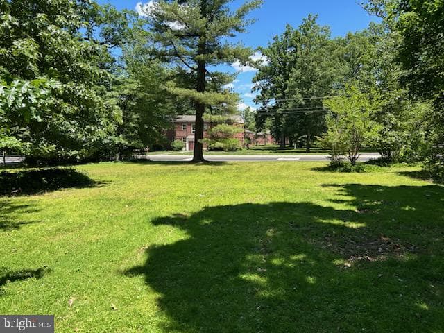 17 Woodland Drive photo 41