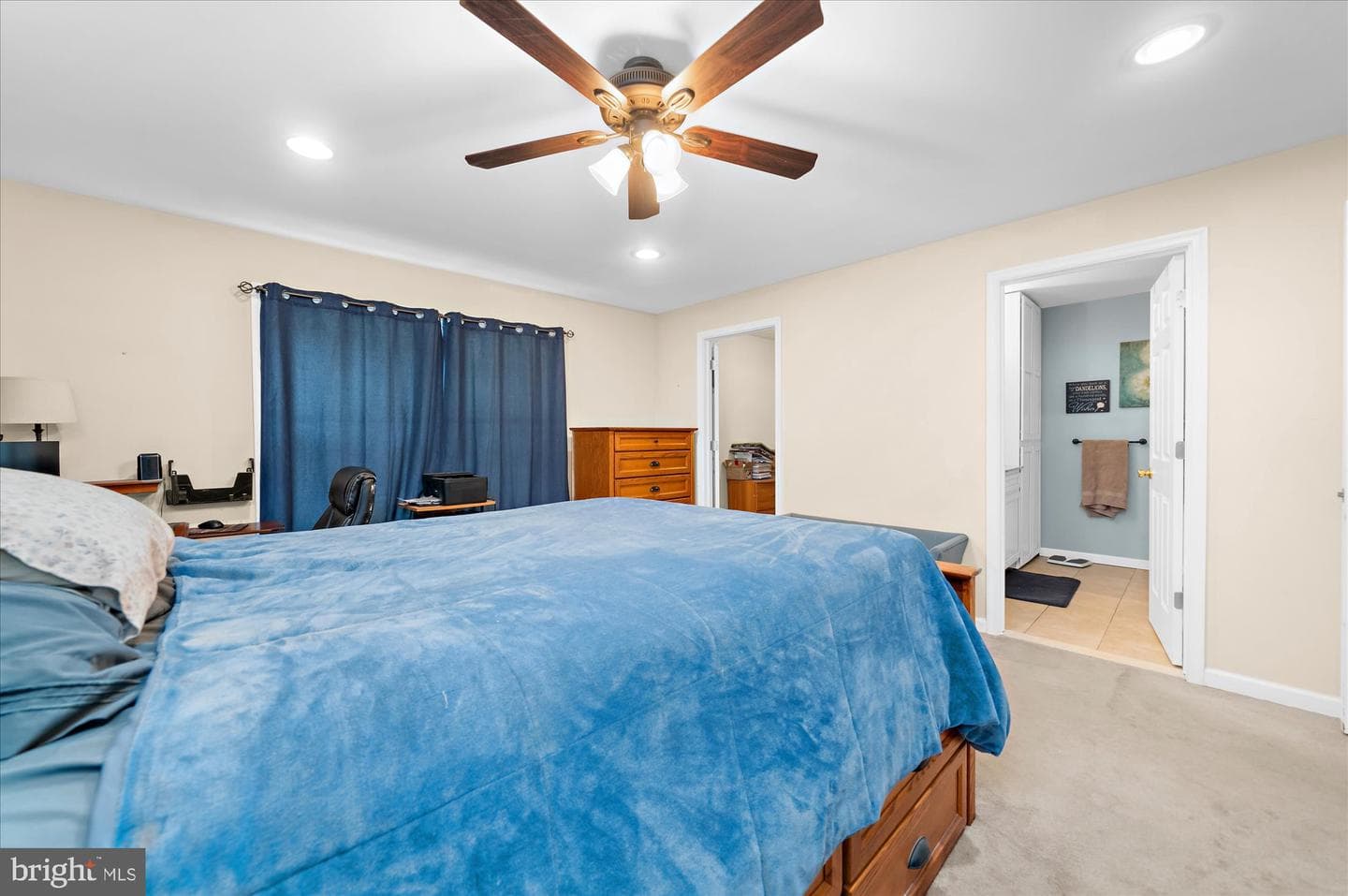 34 Butternut Drive photo 18
