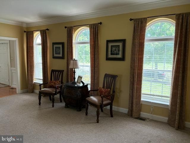 2051 Lockerbie Road photo 49