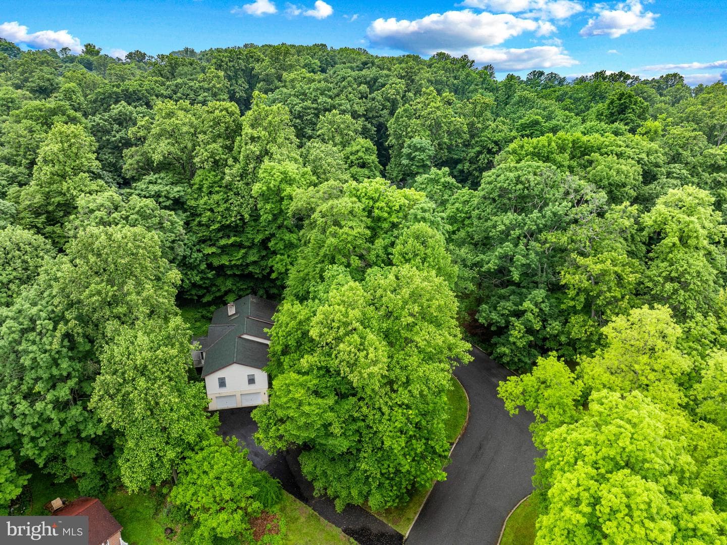1928 Mimosa Lane photo 17