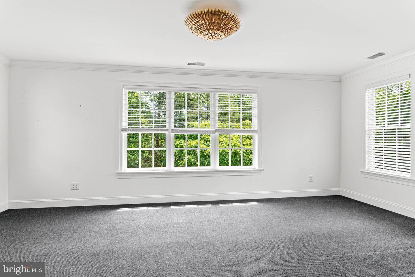737 Eagle Farm Road photo 41