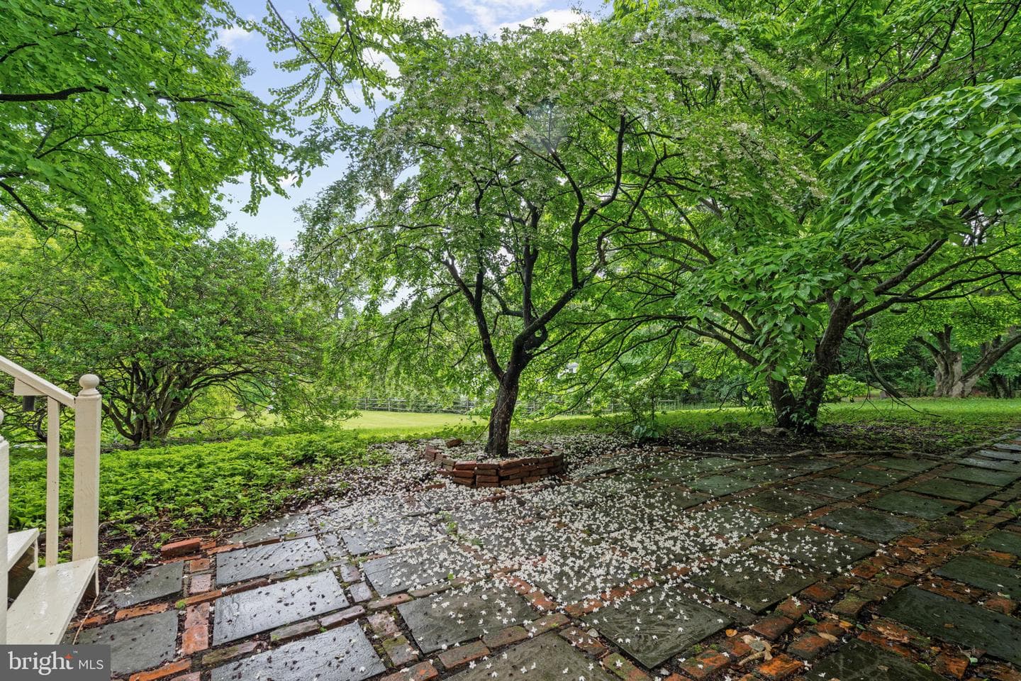 1508 Sweet Briar Road photo 81