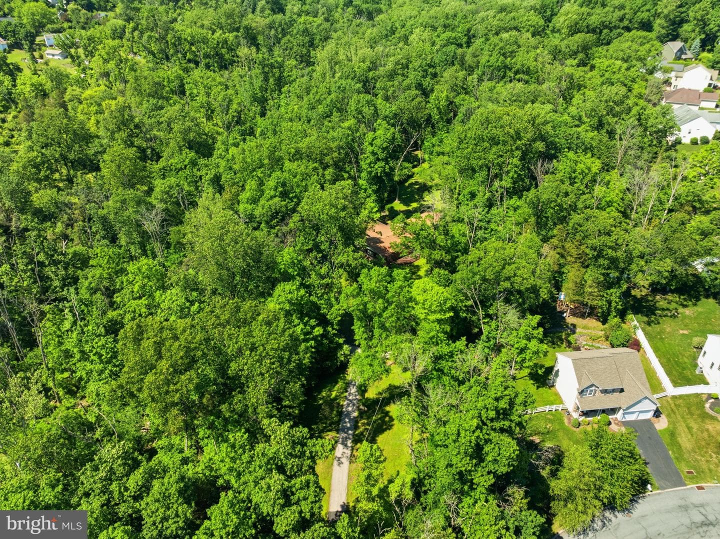 1701 Bahr Road photo 44