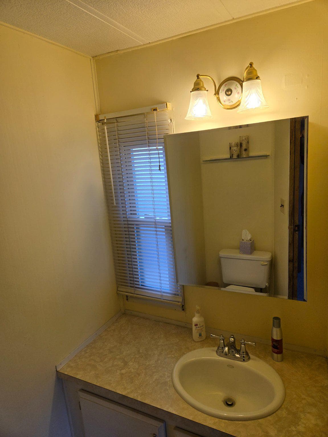 309 Meadow Court photo 7