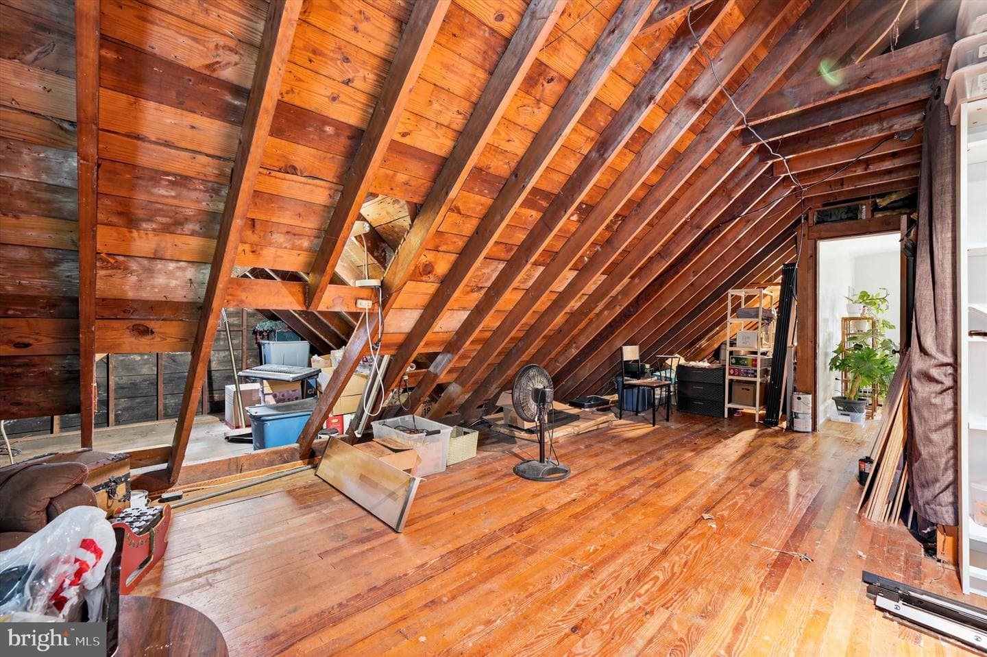 35 Burnside Avenue photo 19