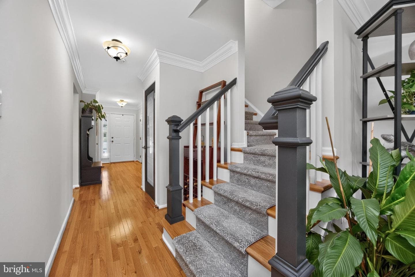62 Cedar Court photo 19