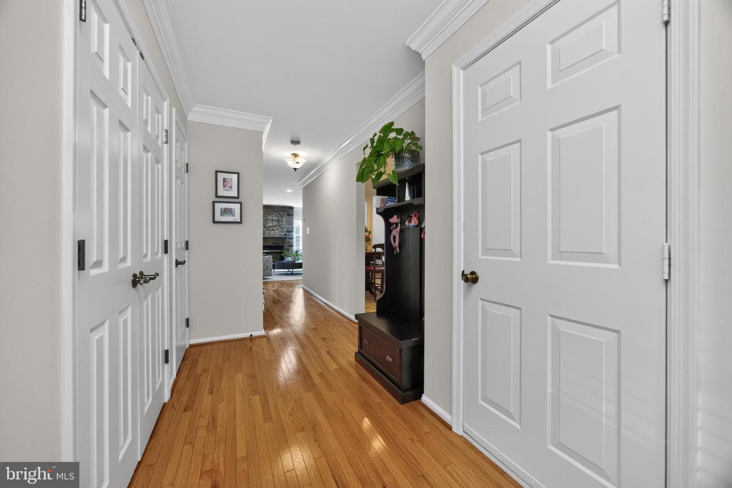 62 Cedar Court photo 4