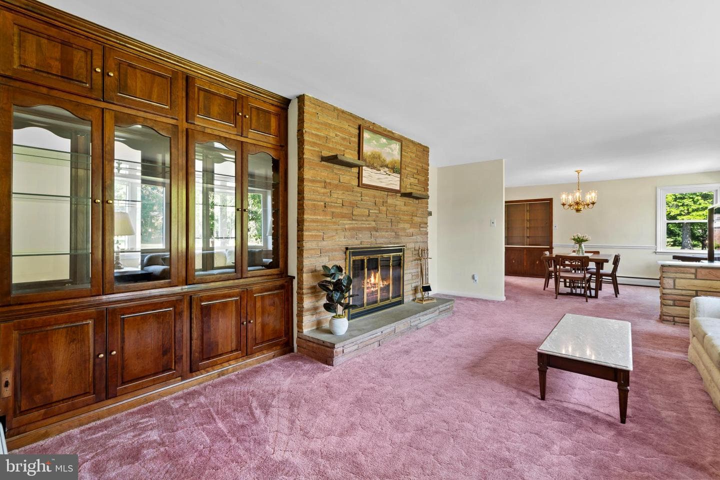 507 Kane Drive photo 21