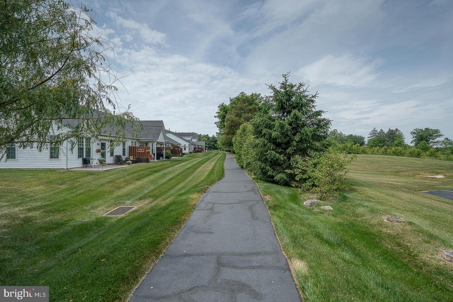 407 Ruth Court photo 43