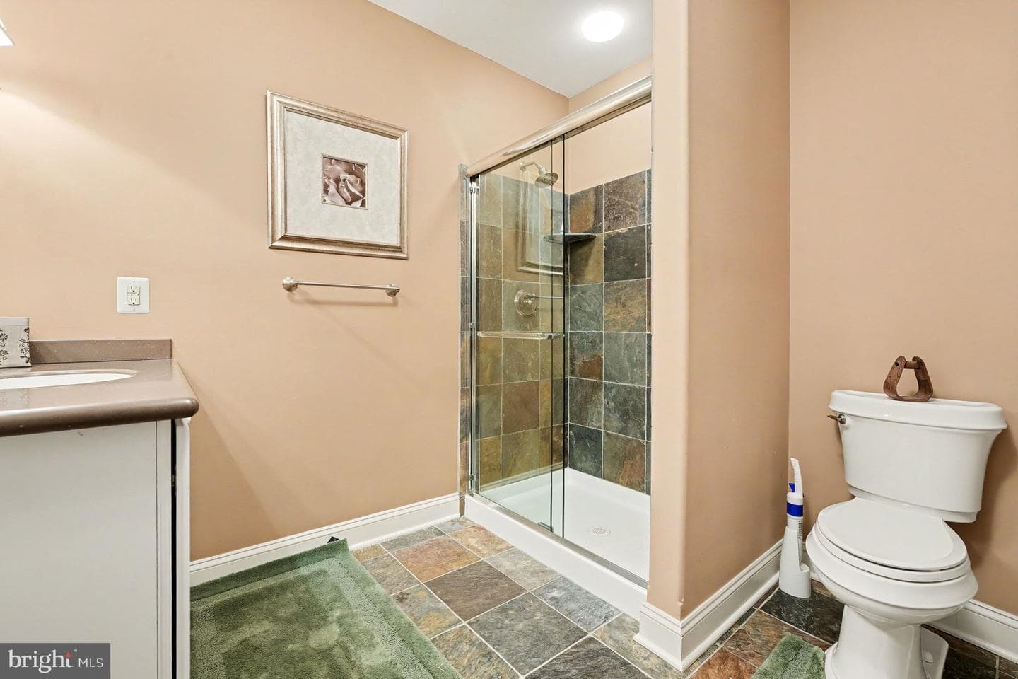 876 Ashbourne Way photo 78