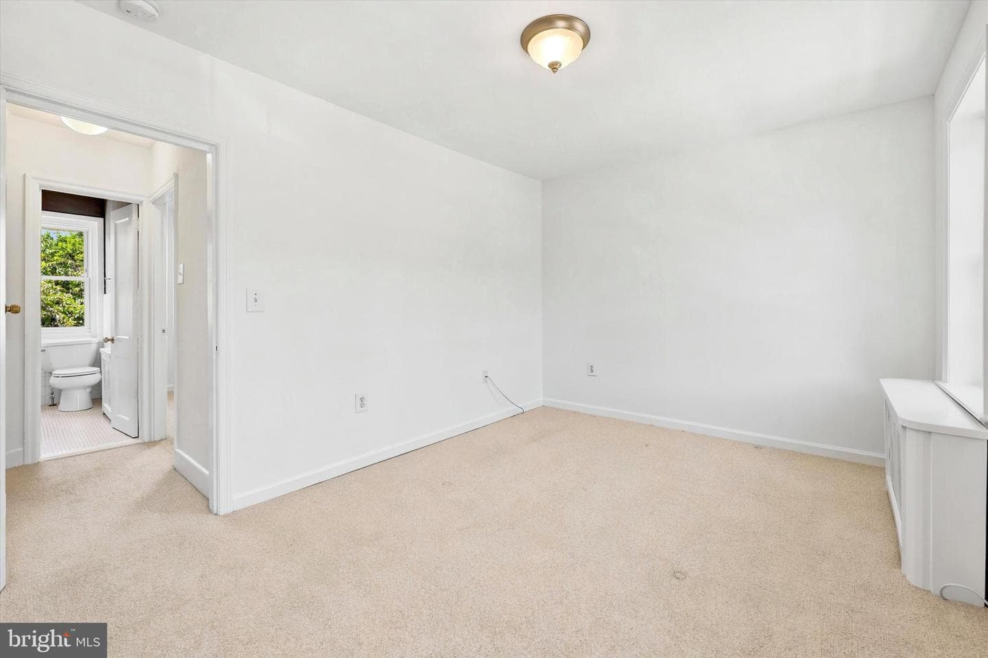 117 E 3rd Avenue photo 13