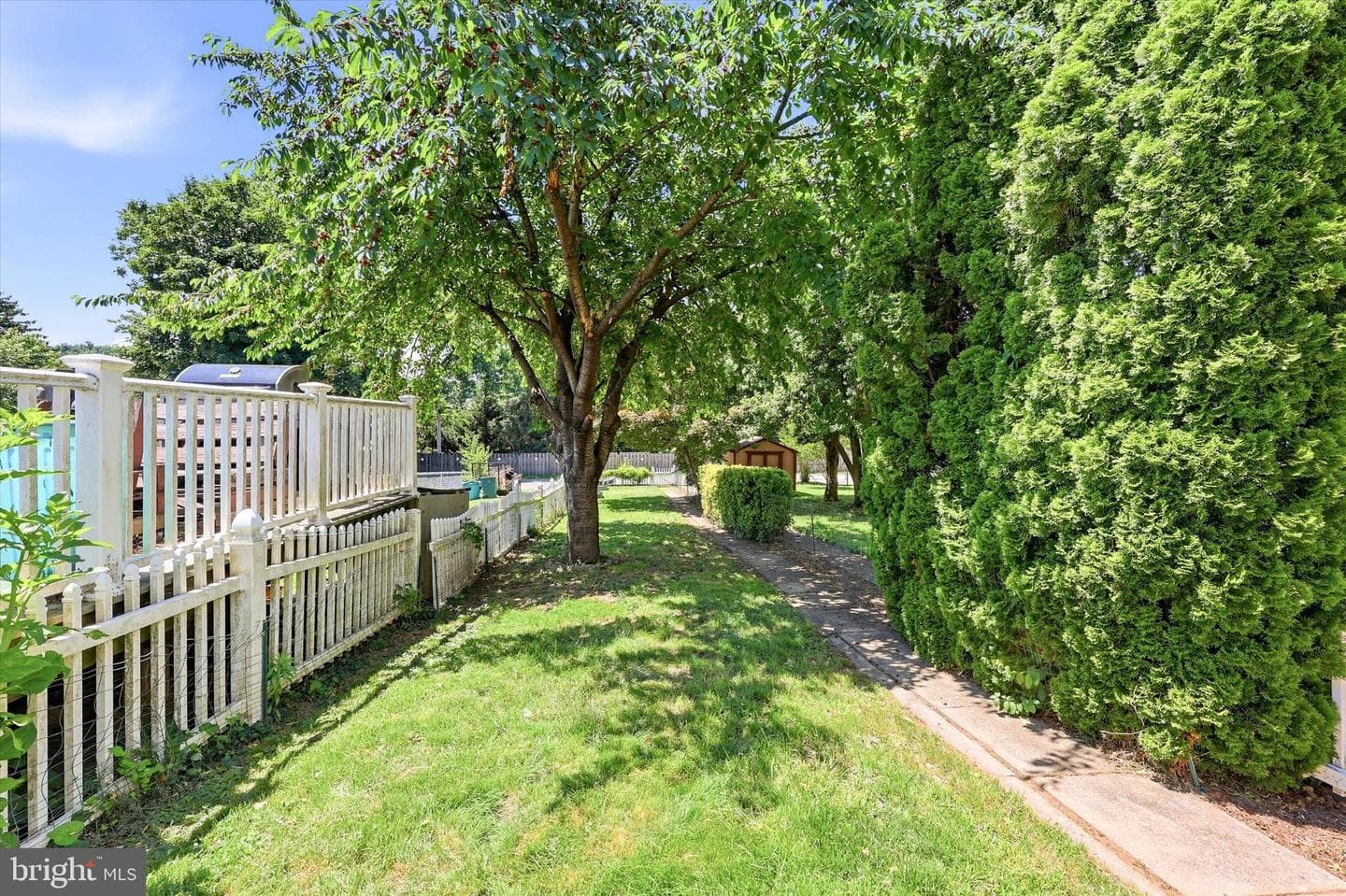 117 E 3rd Avenue photo 23