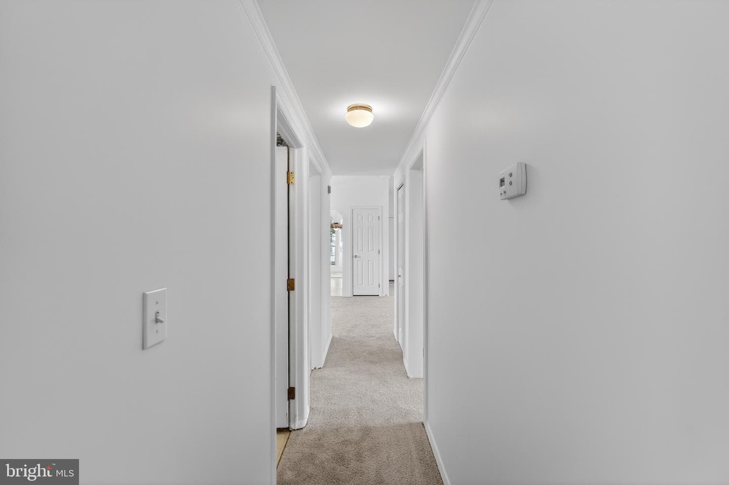 24 Longwood Court E photo 27