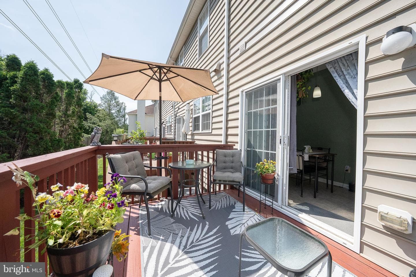 3 Cameron Court photo 19