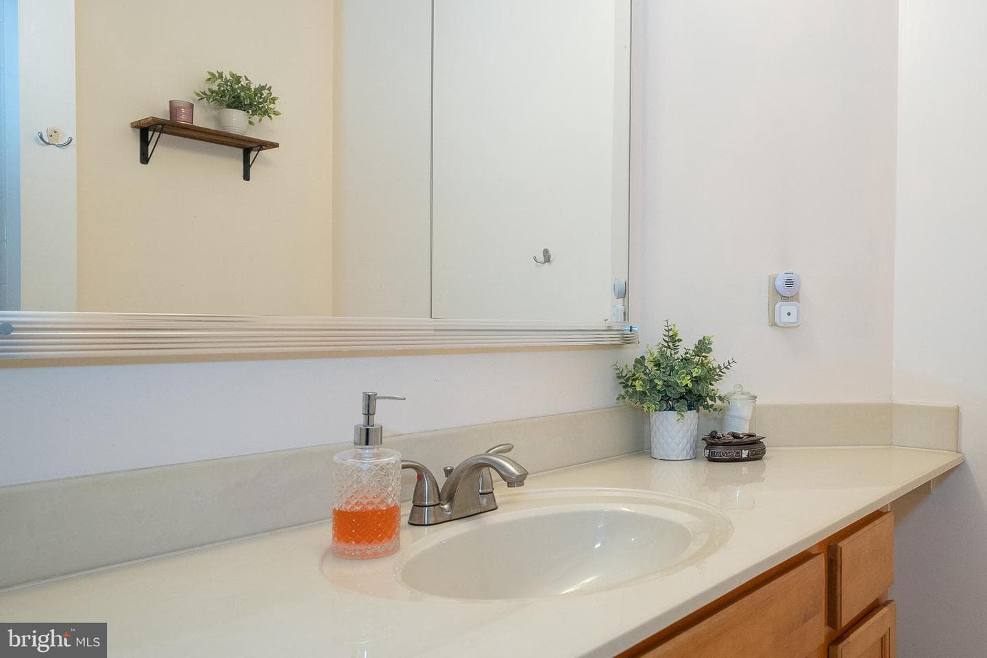 3 Cameron Court photo 29