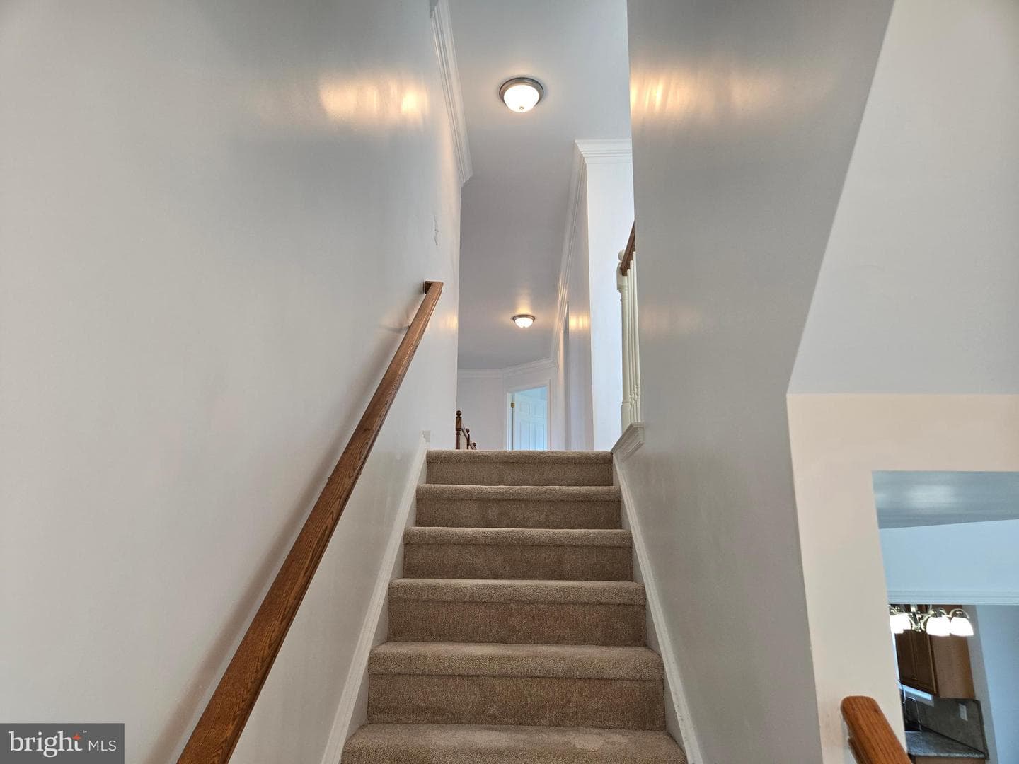 100 Lilac Lane photo 27