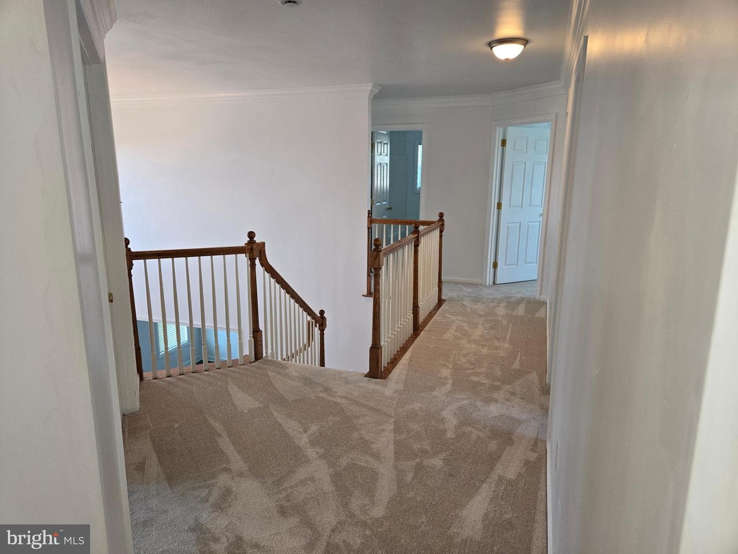 100 Lilac Lane photo 28