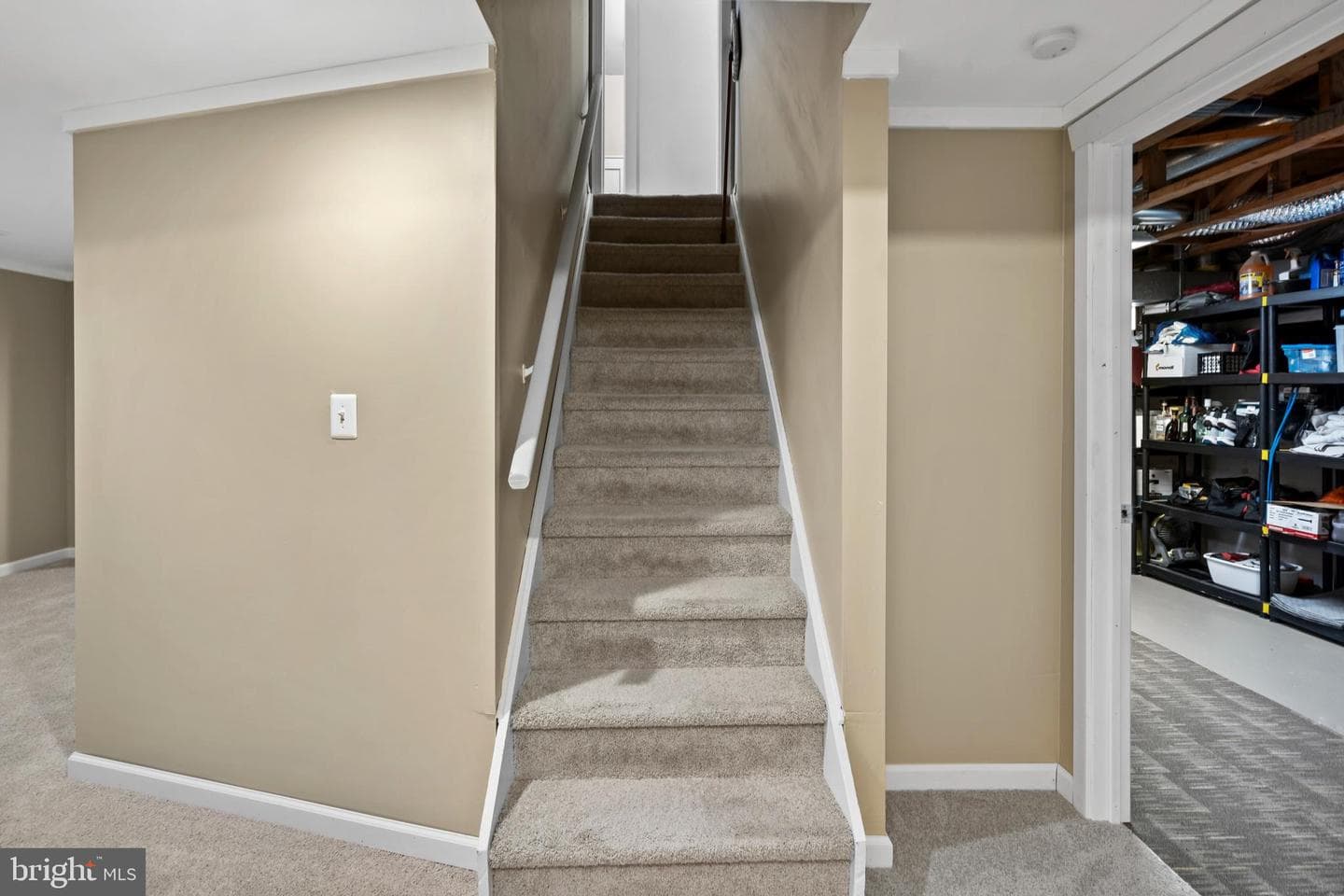 110 Rutledge Court photo 22