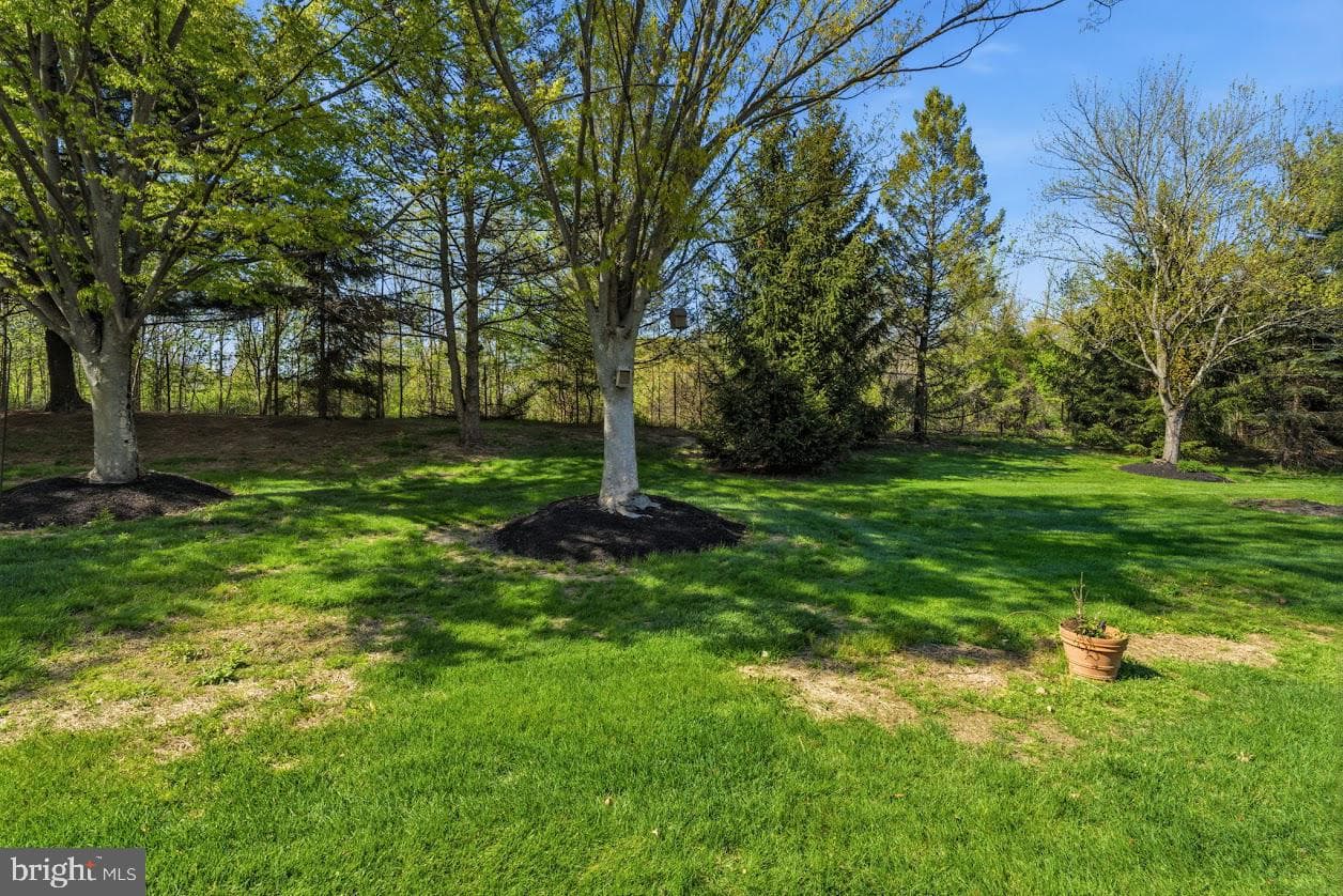205 Polo Drive photo 29