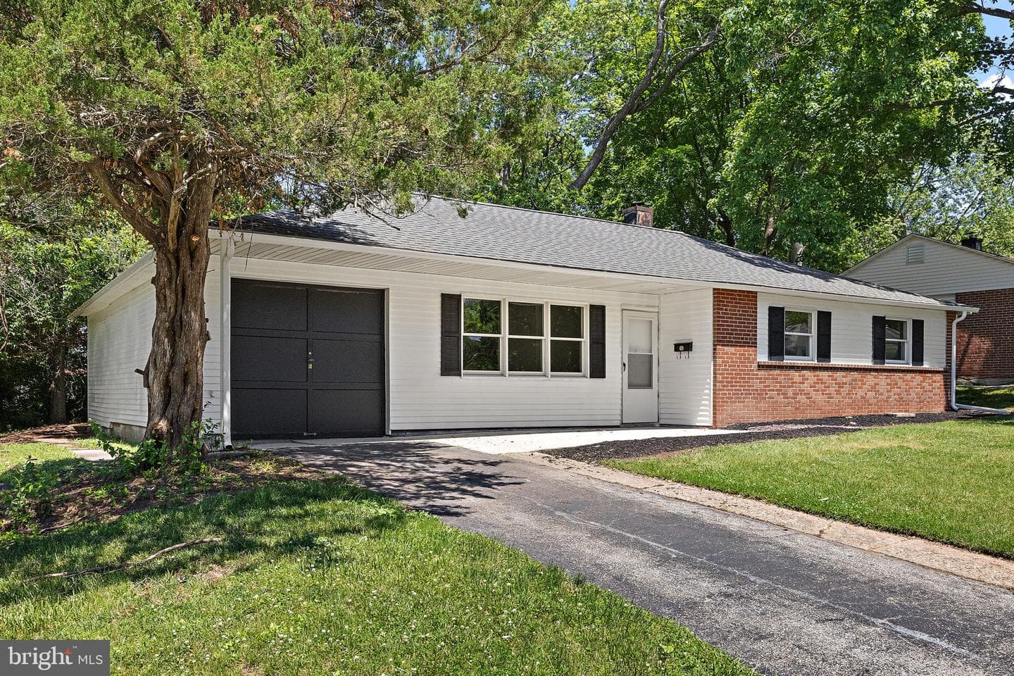 231 Orchard Lane photo 3