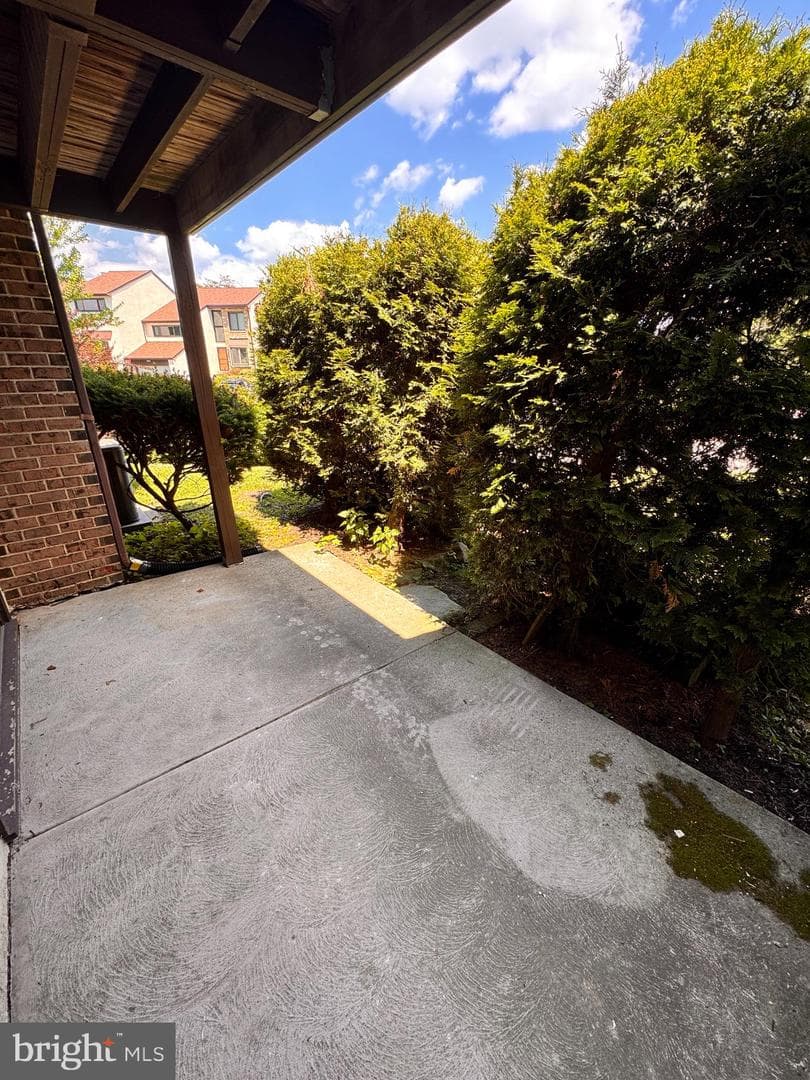 402 Harrison Place photo 22