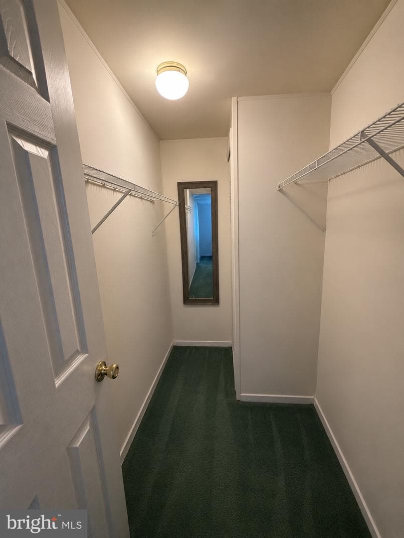 12 Longwood Court W photo 11
