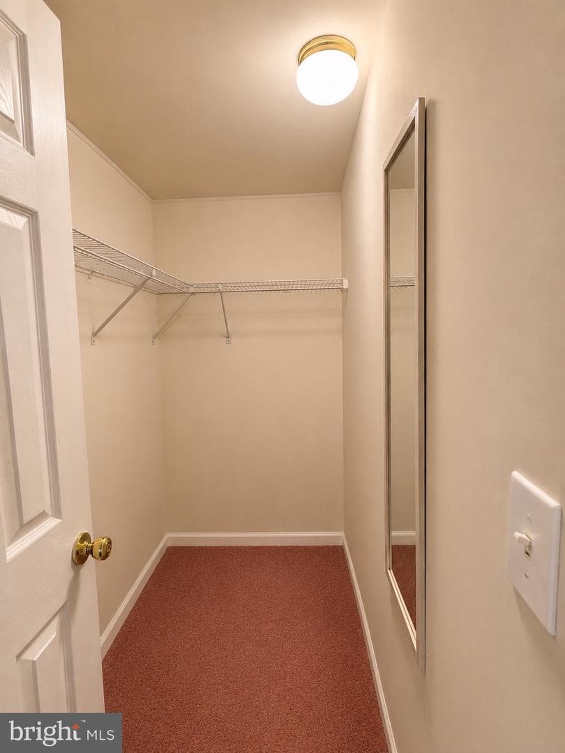 12 Longwood Court W photo 7