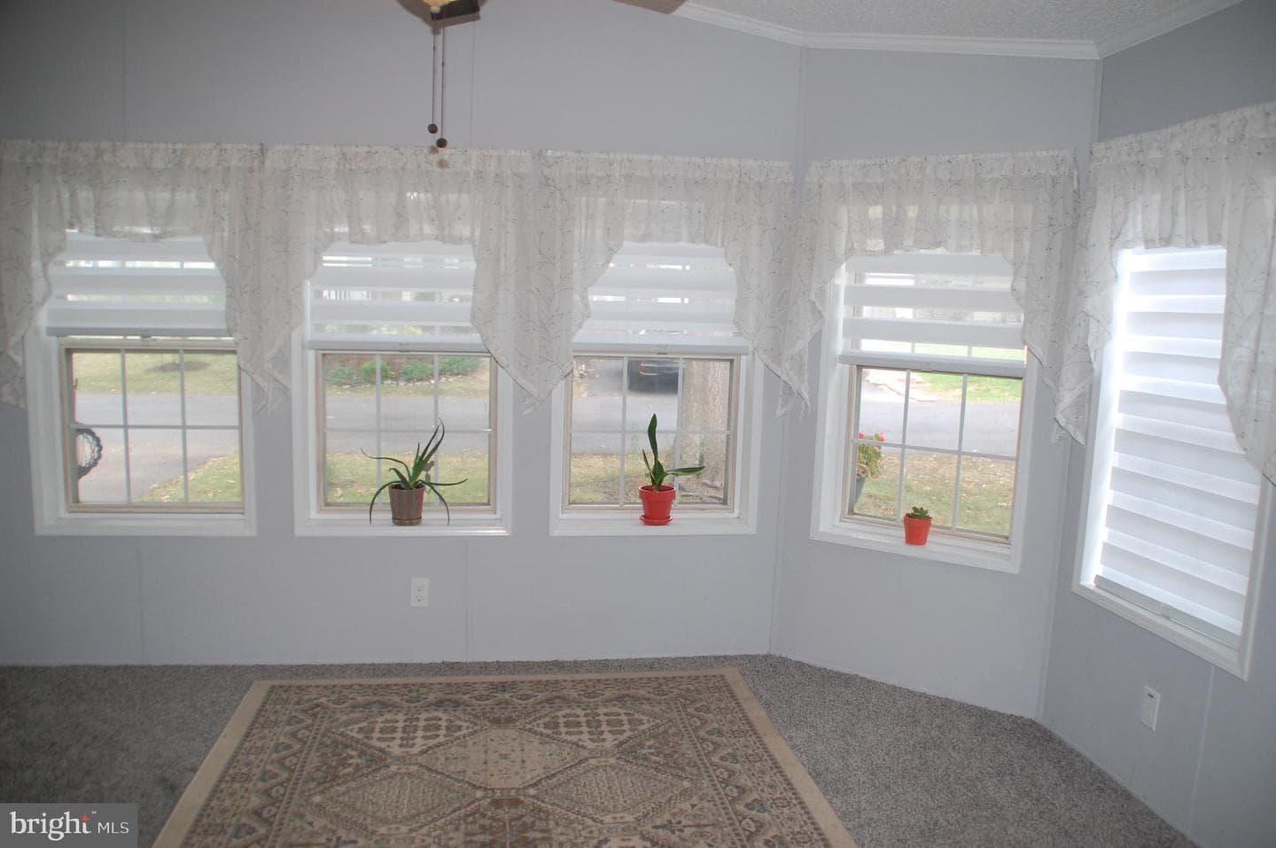 10 Brighton Place photo 17