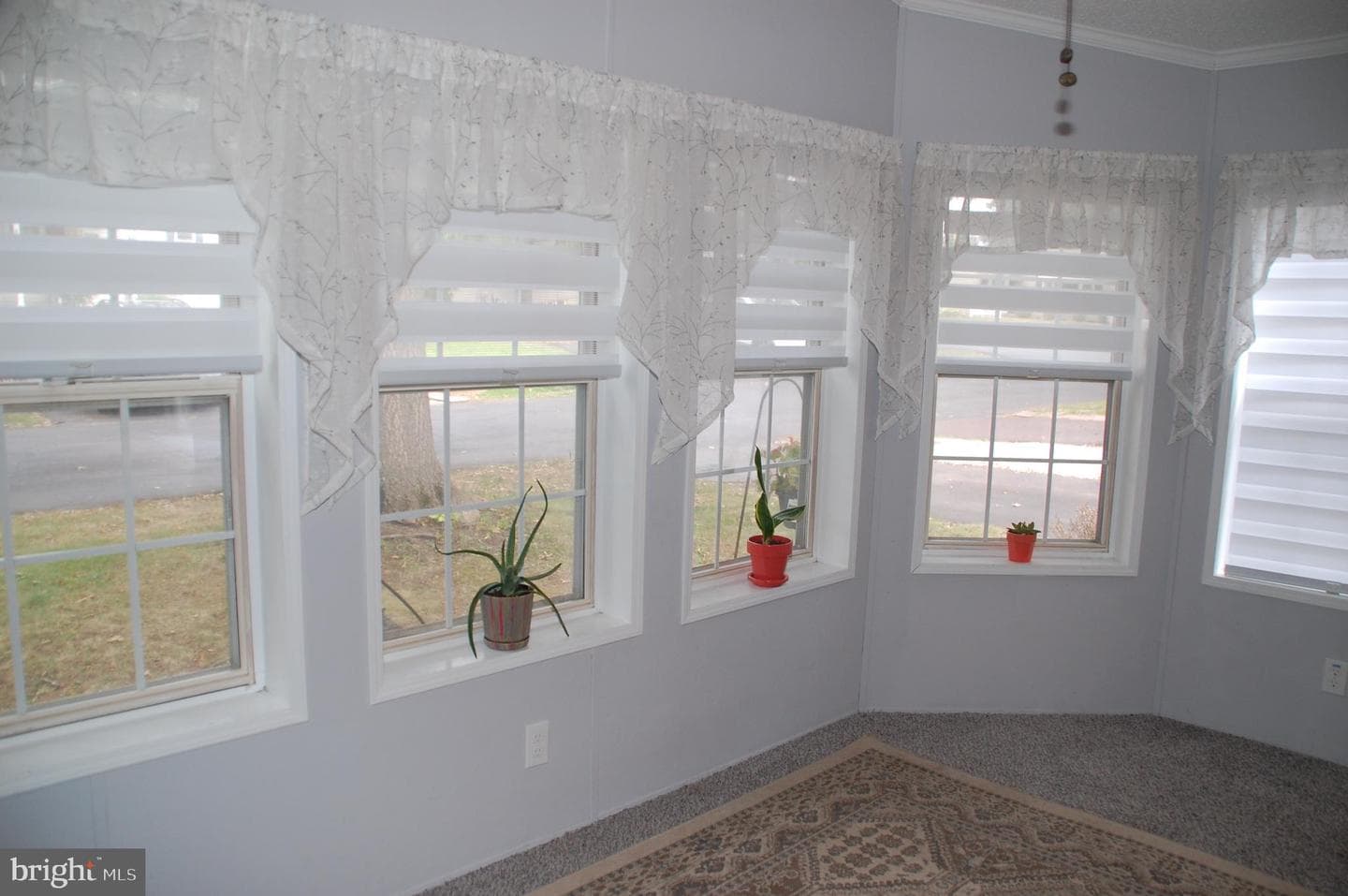 10 Brighton Place photo 18