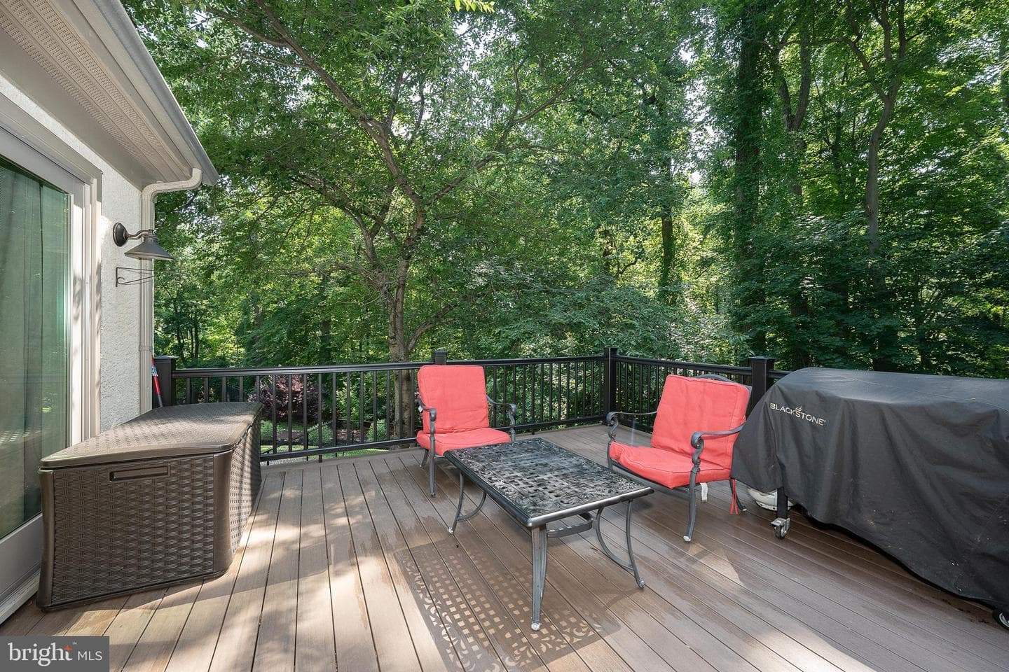 1551 Washington Lane photo 44
