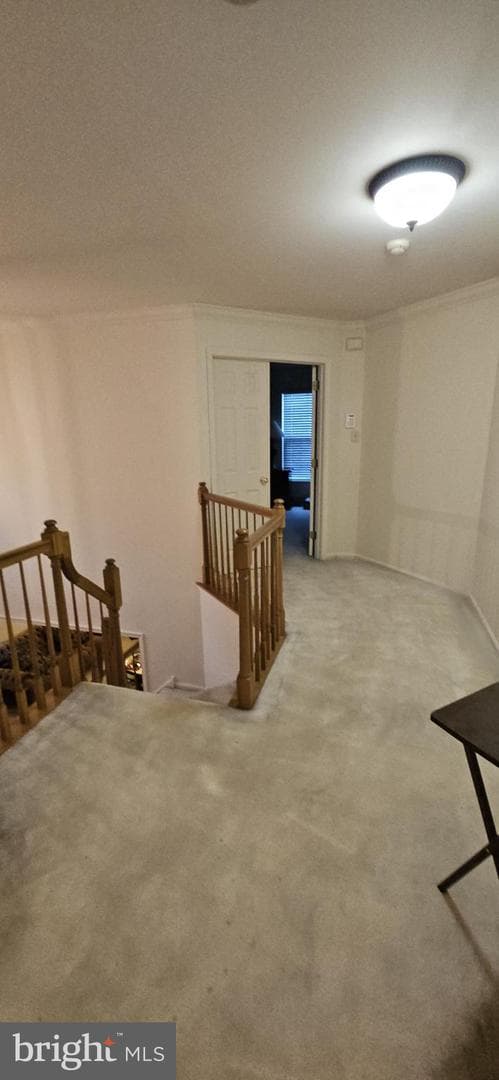 101 Tennyson Lane photo 26