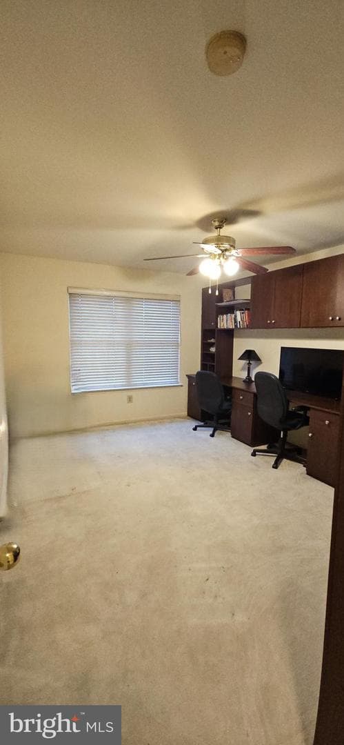 101 Tennyson Lane photo 31