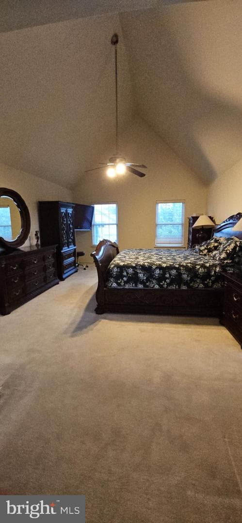 101 Tennyson Lane photo 34