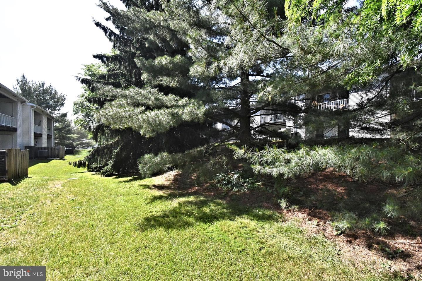 1108b Jefferson Court photo 47