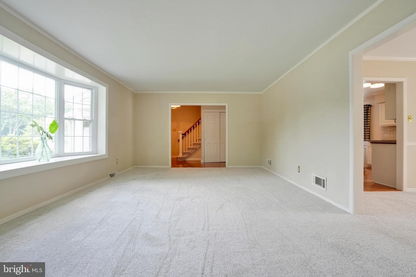 49 Dorchester Road photo 11