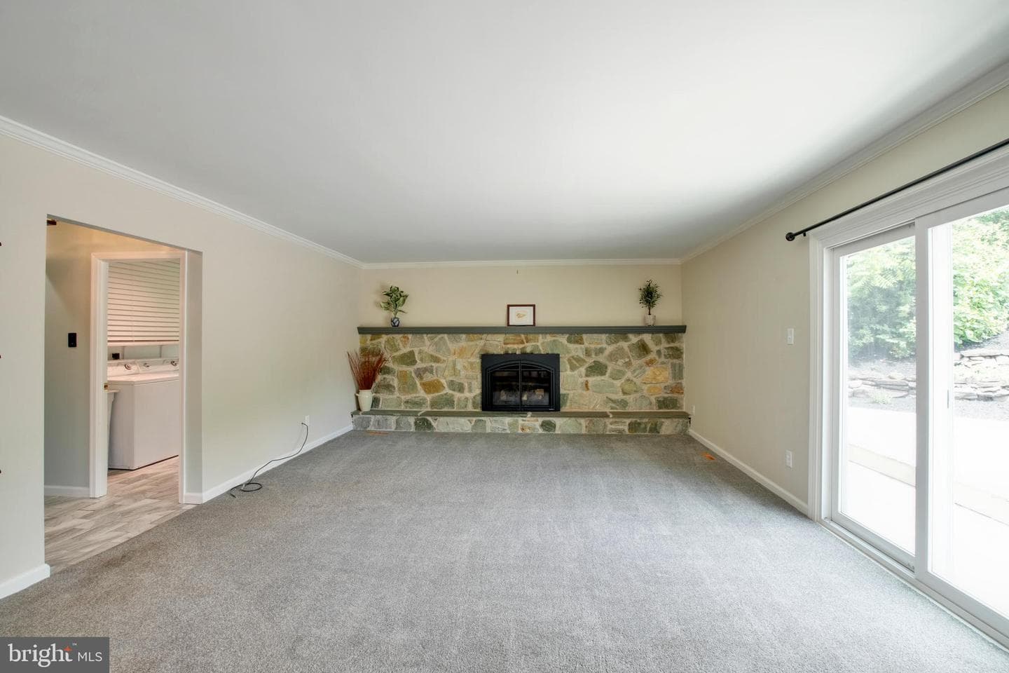 49 Dorchester Road photo 21