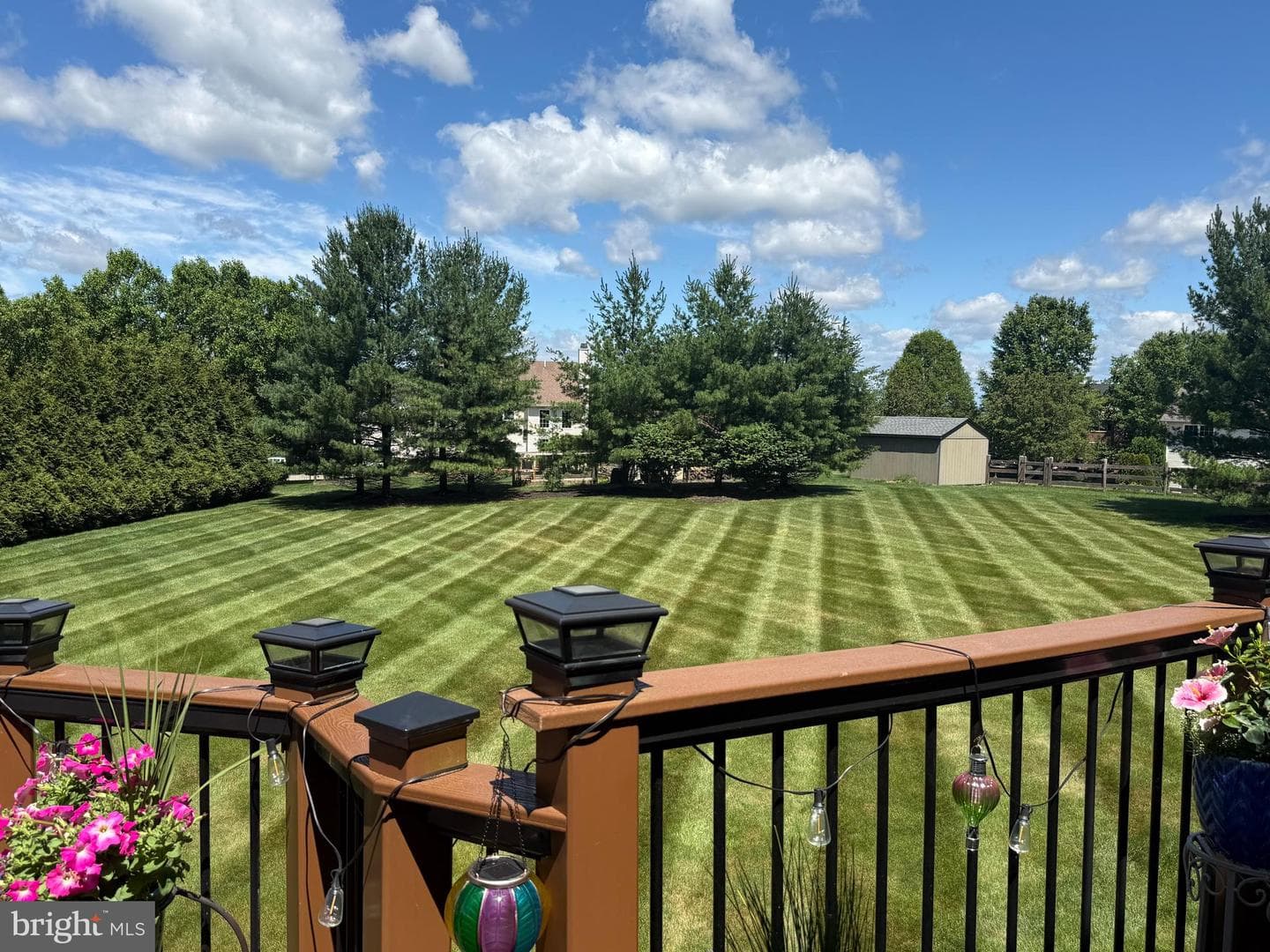 10 Surrey Lane photo 35
