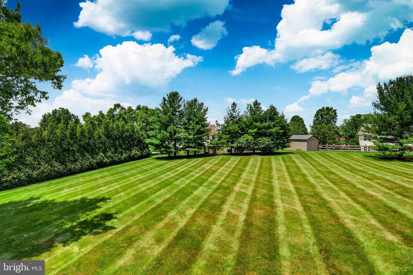 10 Surrey Lane photo 36