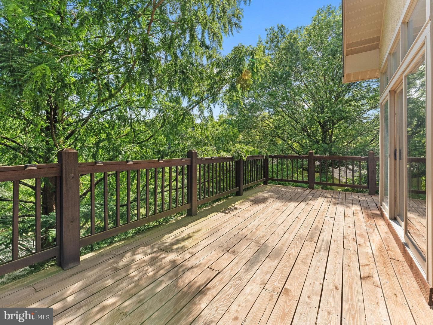455 Copper Beech Circle photo 50