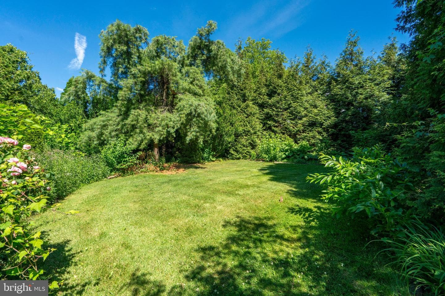 101 Mill Road photo 37