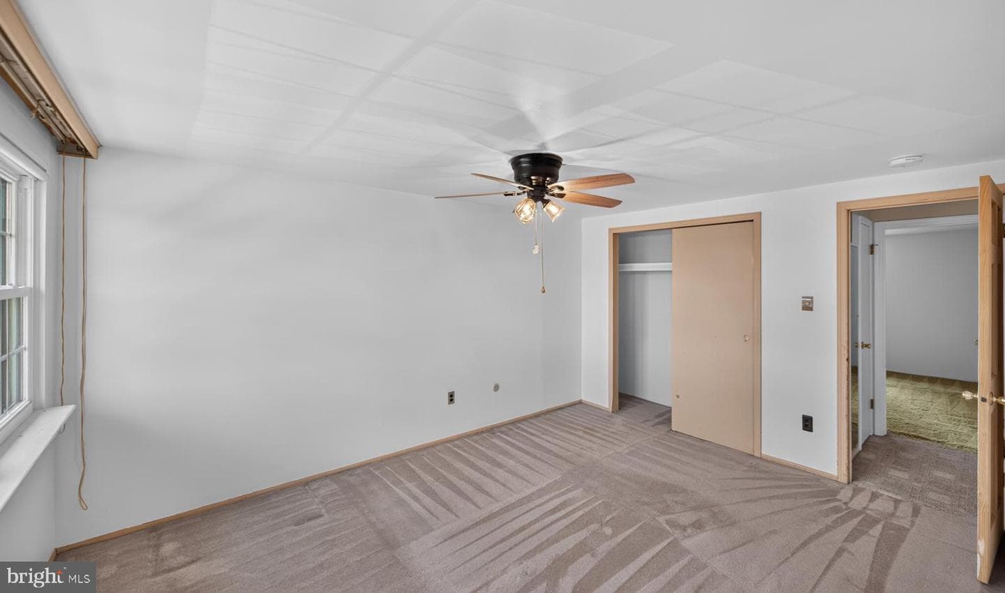 306 Livingston Court photo 20