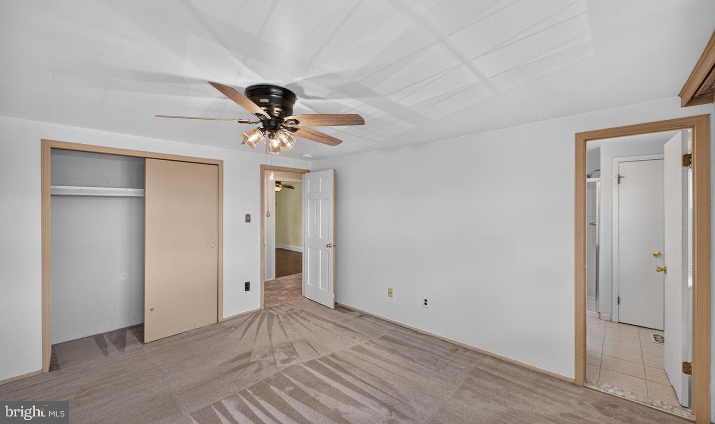 306 Livingston Court photo 22