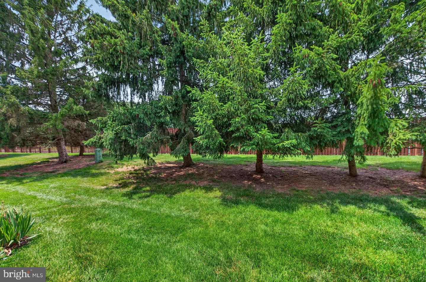 306 Livingston Court photo 37