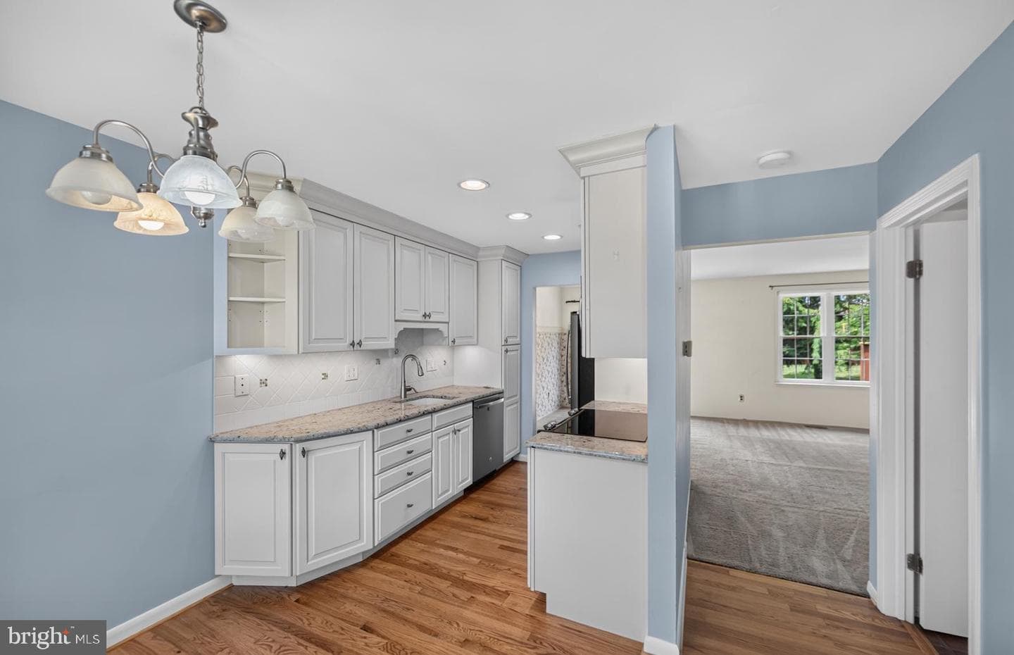 306 Livingston Court photo 8