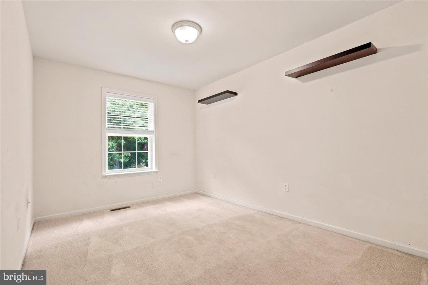171 Vernon Court photo 19